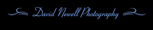 David Newell Photography - logo graphic